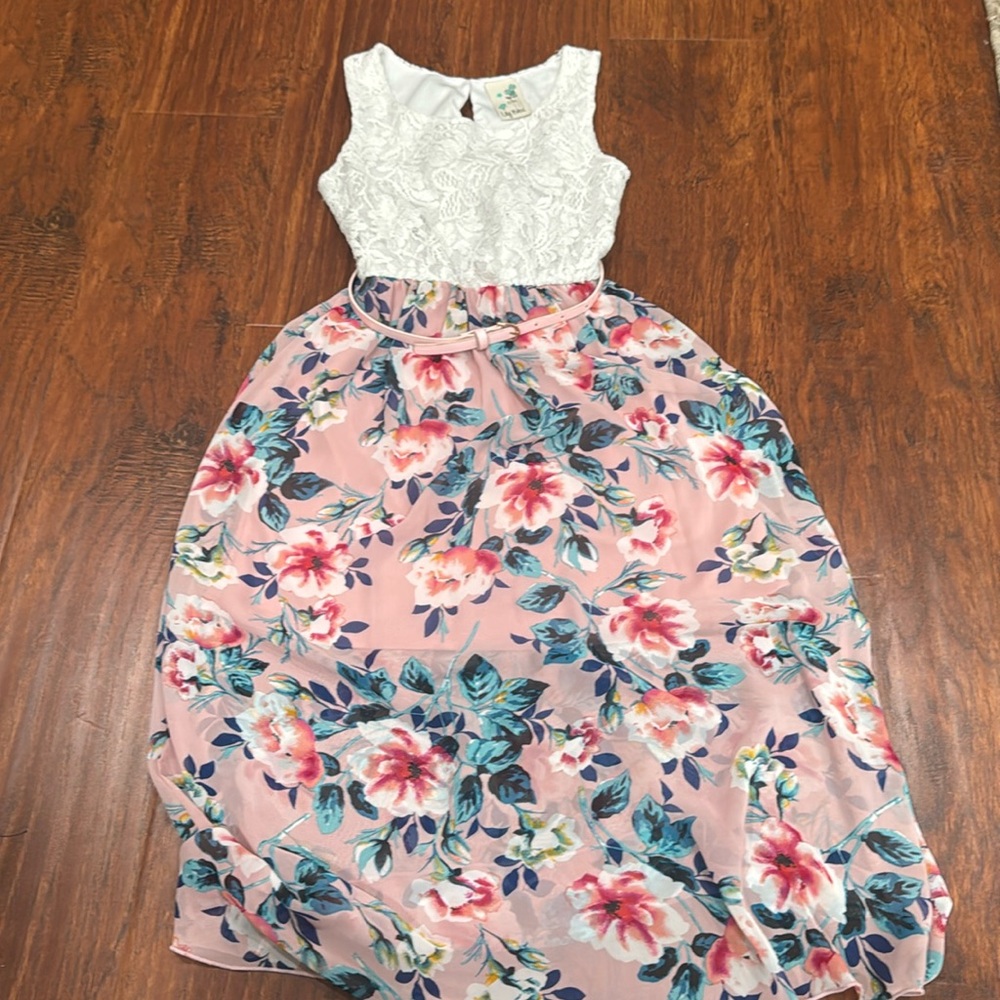 Lily Bleu Lace Lace Dress